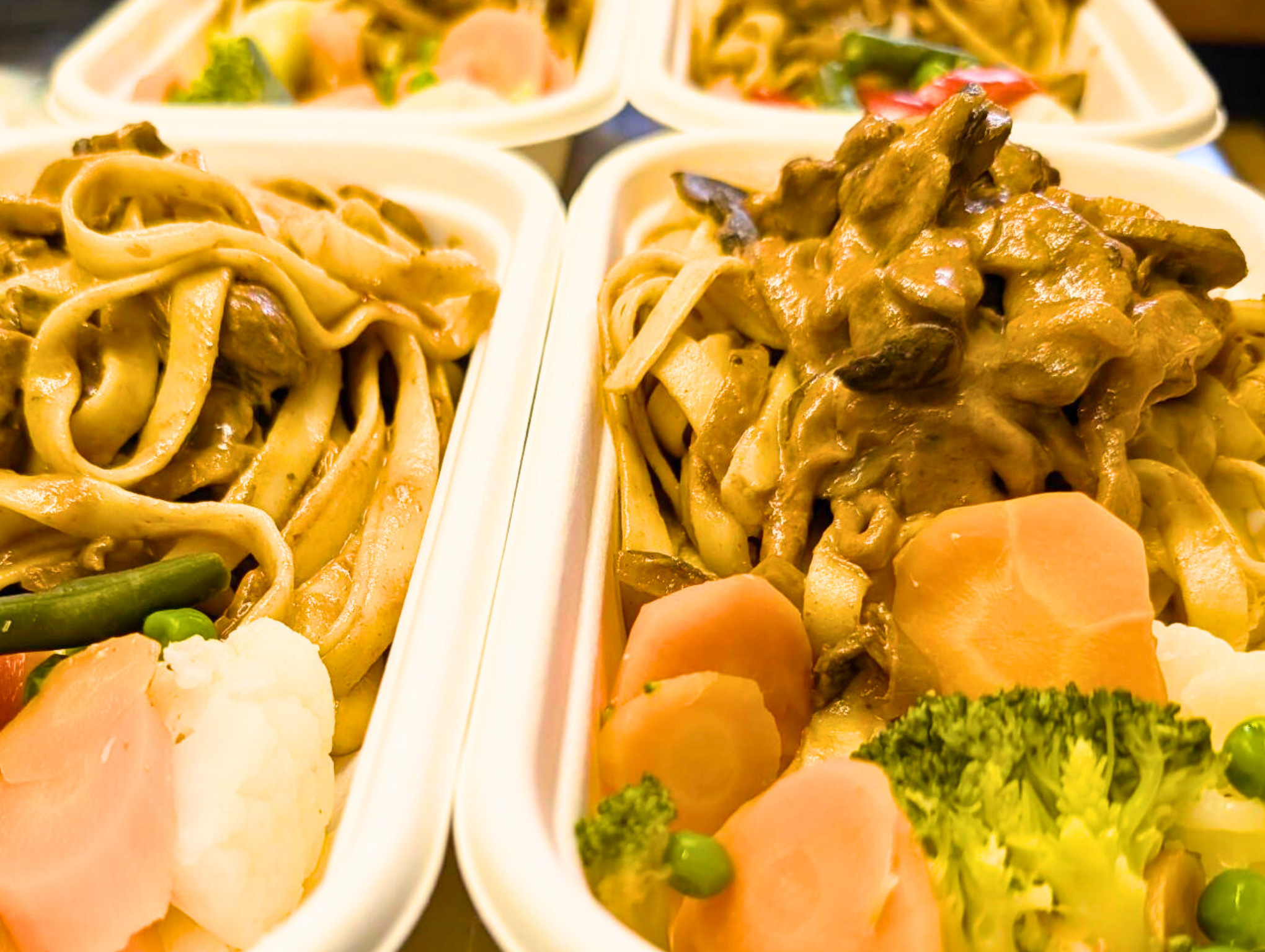 Beef Stroganoff with fettuccini and seasonal vegetables